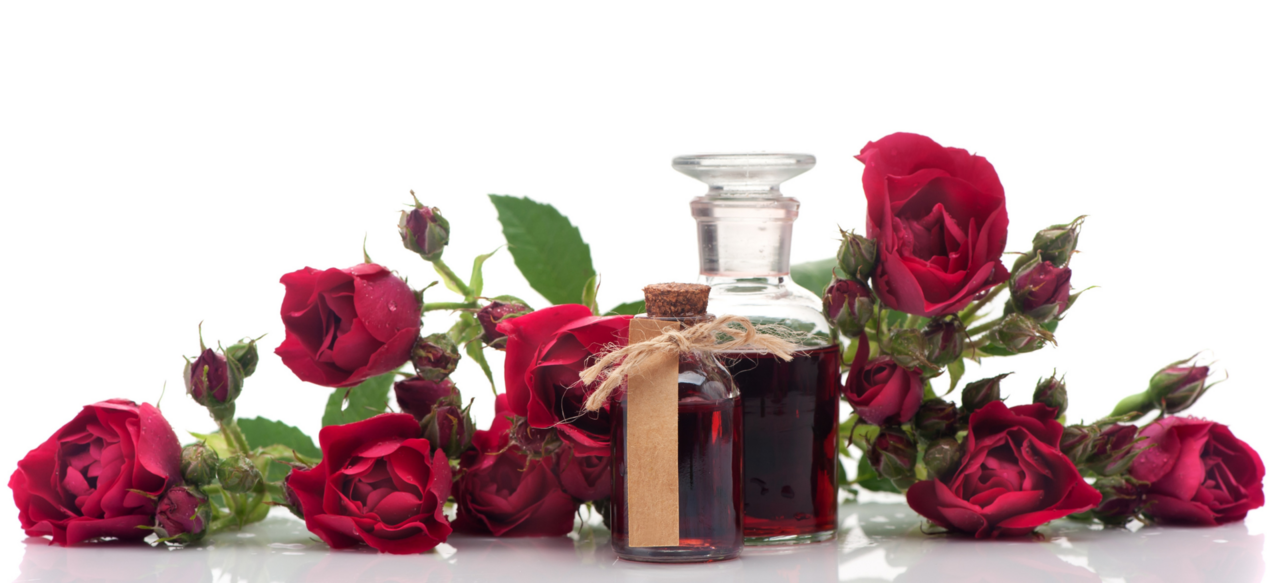 Rose - Flowers and Essential Oil